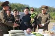 سازمان ملل: تولید محصولات کشاورزی کره شمالی نصف شد / نصف مردم کره شمالی نیازمند کمک غذایی هستند