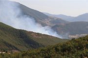 دادگستری آذربایجان‌شرقی آتش‌سوزی ارسباران را پیگیری می‌کند